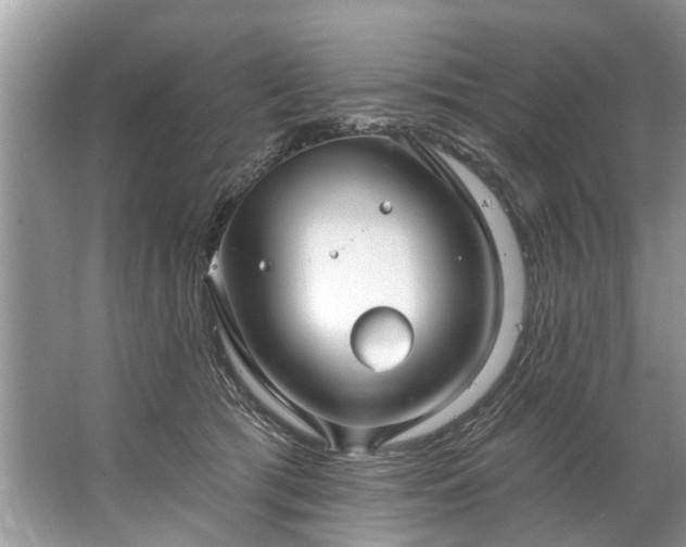 X0000067530417200604150230