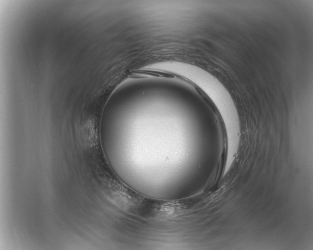 X0000067530420200604150230