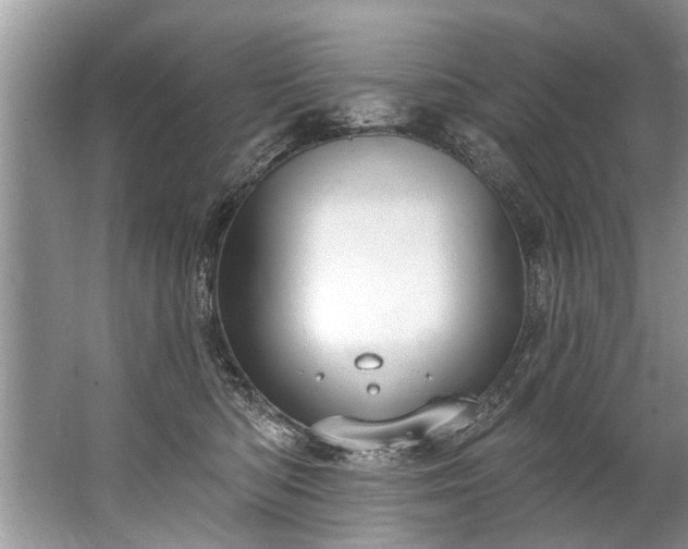 X0000067530422200604150230