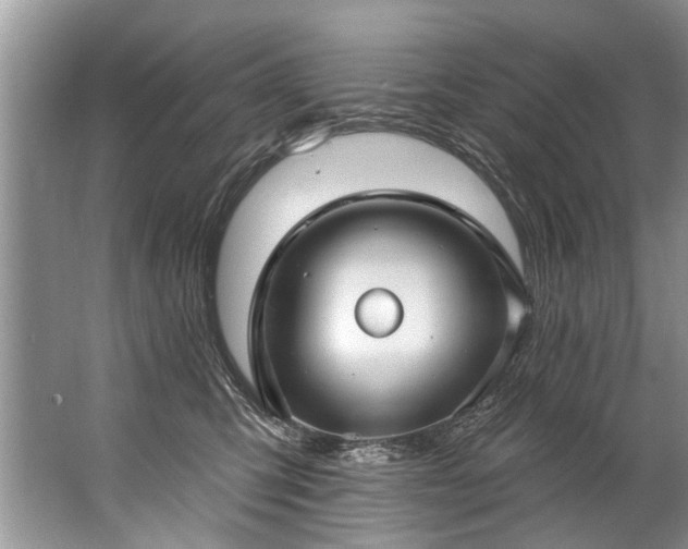 X0000067530423200604150230