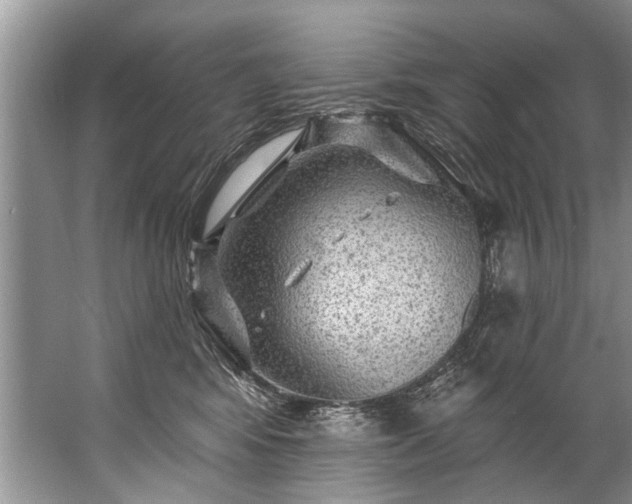 X0000067530424200604150230