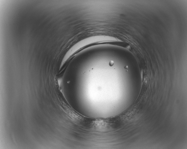 X0000067530425200604150230