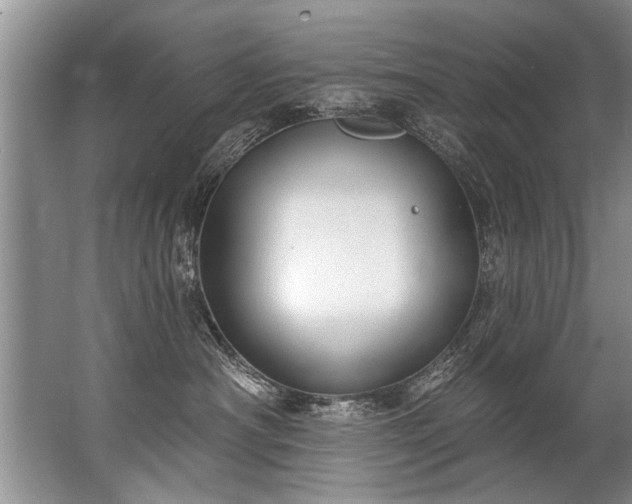 X0000067530430200604150230