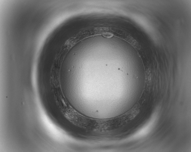 X0000067530431200604150230