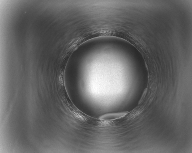 X0000067530432200604150230