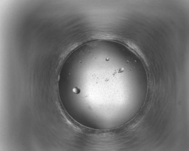 X0000067530433200604150229