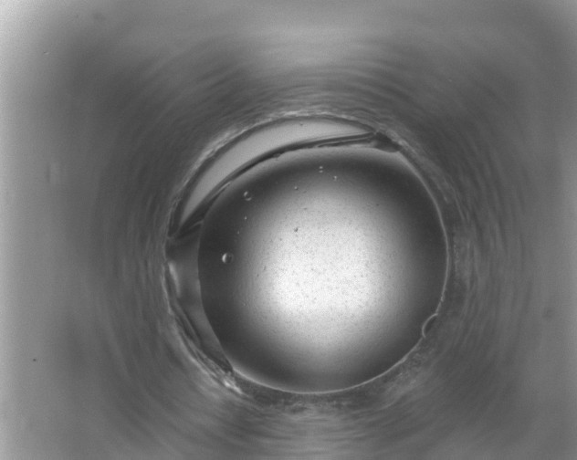 X0000067530434200604150229