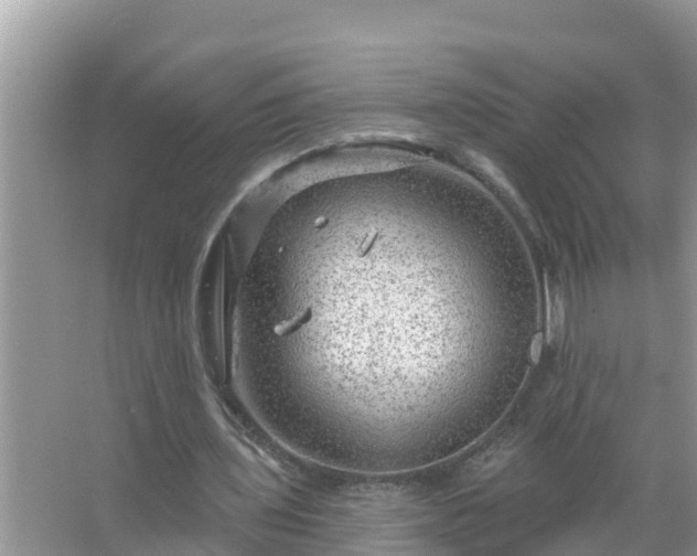 X0000067530435200604150229