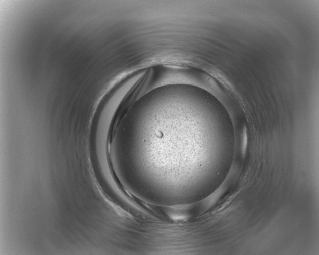 X0000067530438200604150229