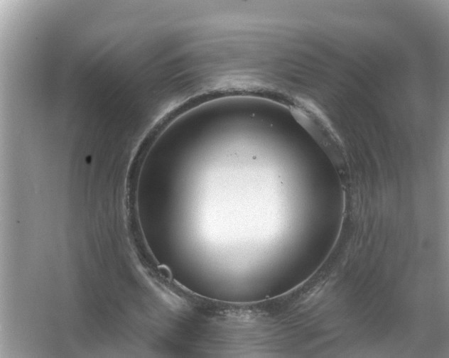 X0000067530439200604150229