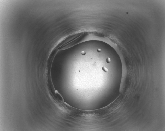 X0000067530440200604150229