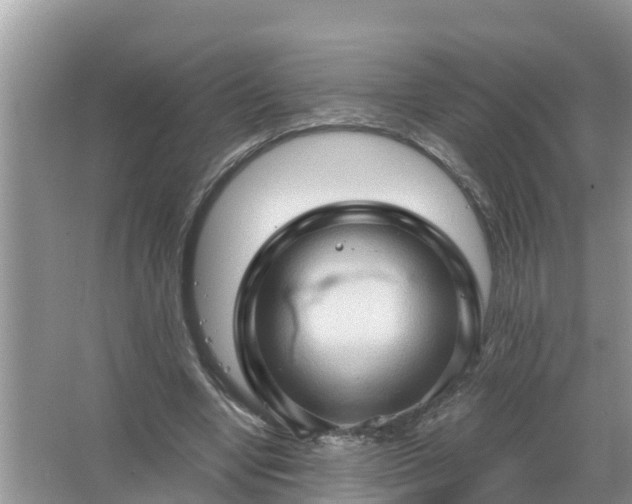 X0000067530442200604150230