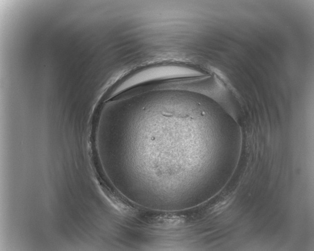 X0000067530443200604150230