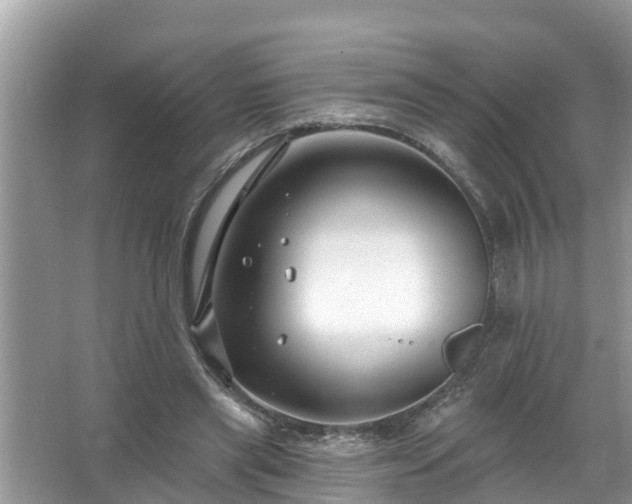 X0000067530445200604150230