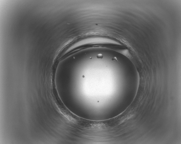 X0000067530446200604150230