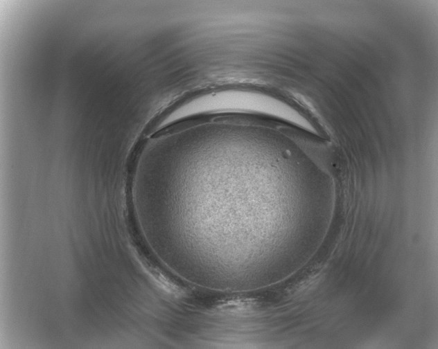 X0000067530447200604150230