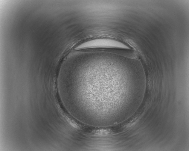 X0000067530449200604150230