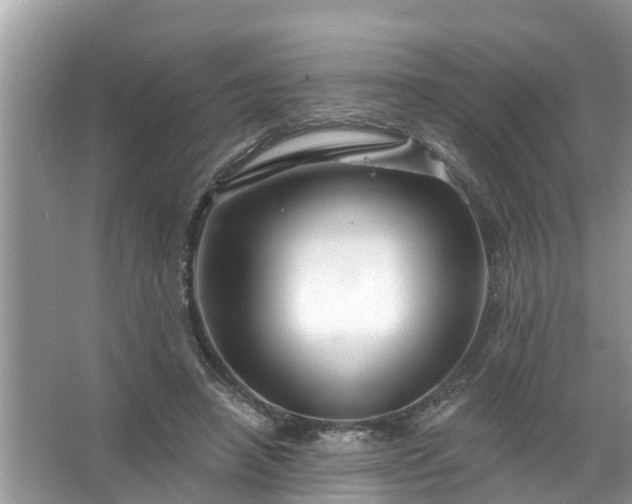 X0000067530450200604150230