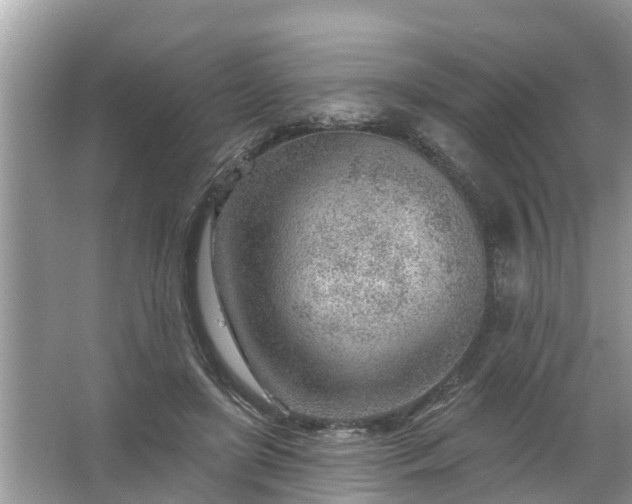 X0000067530451200604150230