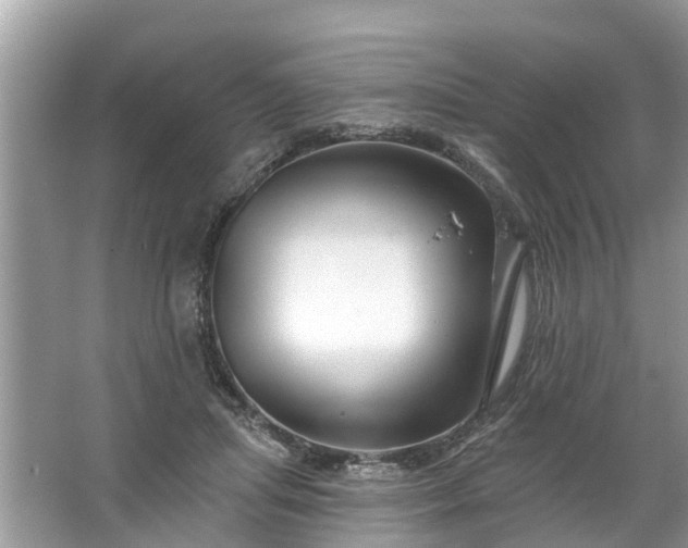 X0000067530455200604150230