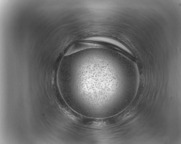 X0000067530458200604150230