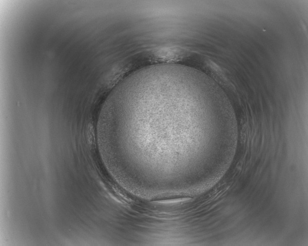 X0000067530459200604150230