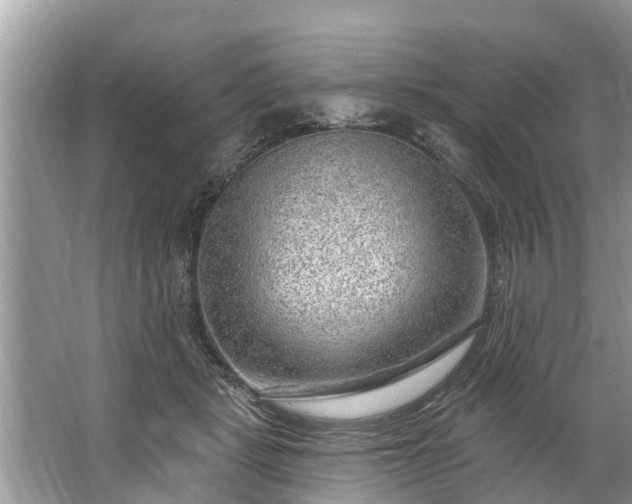 X0000067530461200604150230