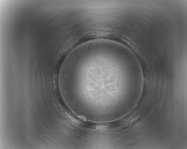 X0000067530462200604150230