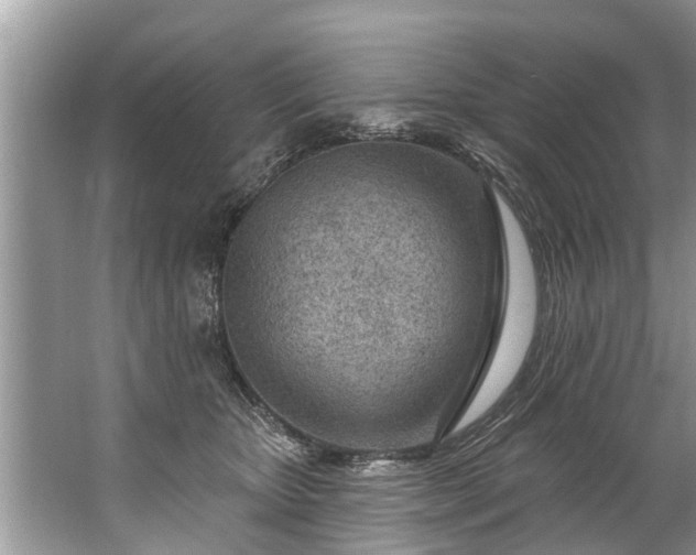 X0000067530467200604150230