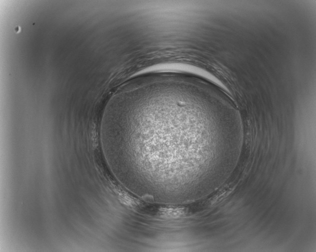 X0000067530469200604150230