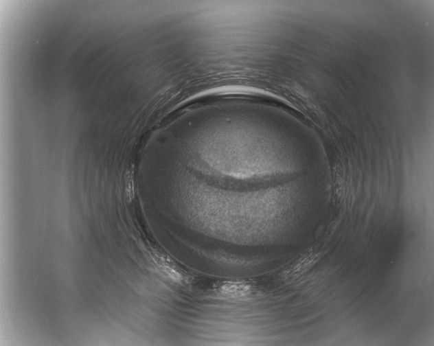 X0000067530471200604150230