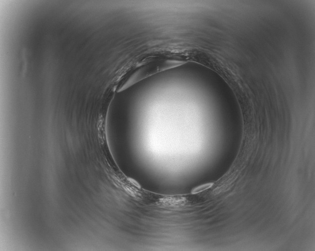 X0000067530480200604150230