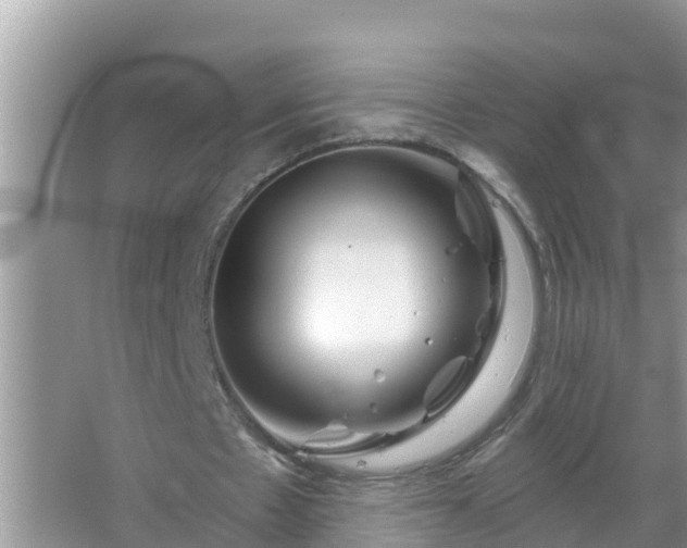 X0000067530481200604150229