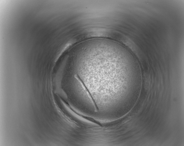 X0000067530482200604150229