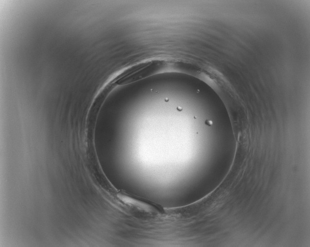 X0000067530484200604150229