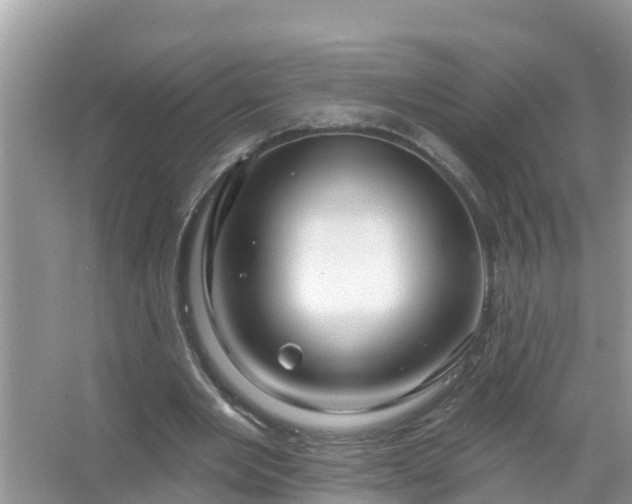 X0000067530485200604150229