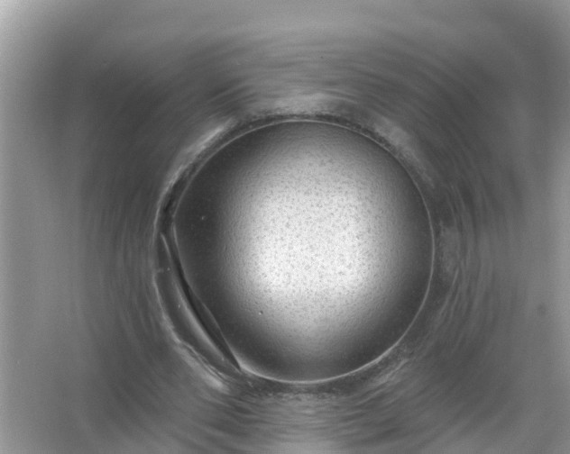 X0000067530486200604150229