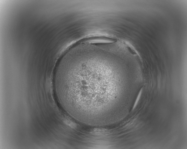 X0000067530487200604150229