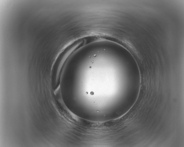 X0000067530488200604150229