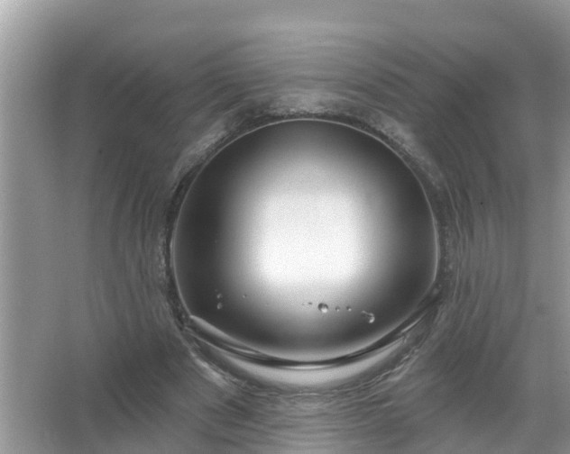 X0000067530489200604150229