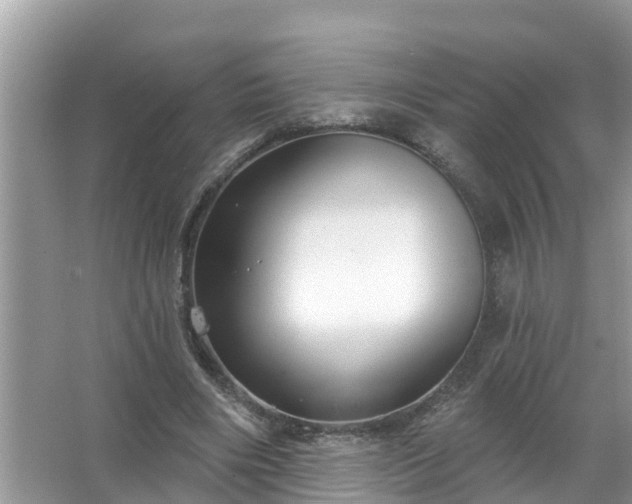 X0000067530490200604150229