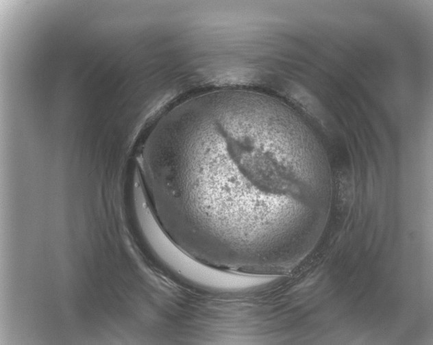 X0000067530491200604150229