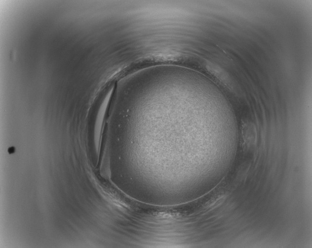 X0000067530494200604150229