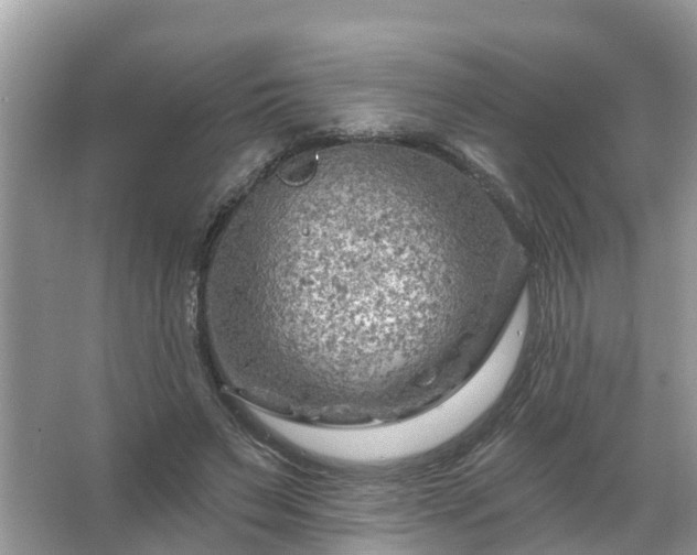 X0000067530495200604150229