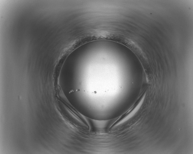 X0000067530496200604150229