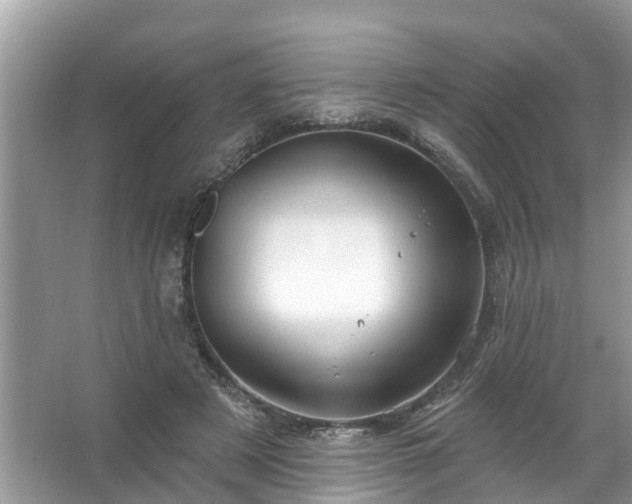 X0000067530497200604150229