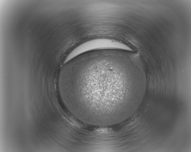 X0000067530499200604150229