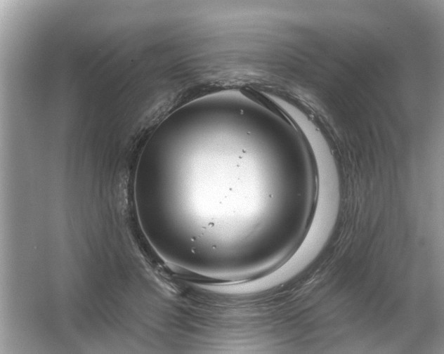 X0000067530501200604150229