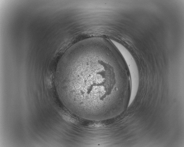 X0000067530503200604150229