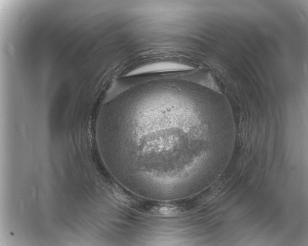 X0000067530506200604150229